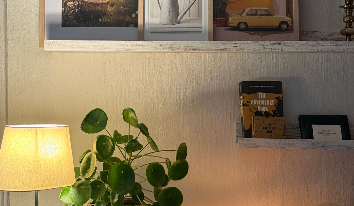 blog single post