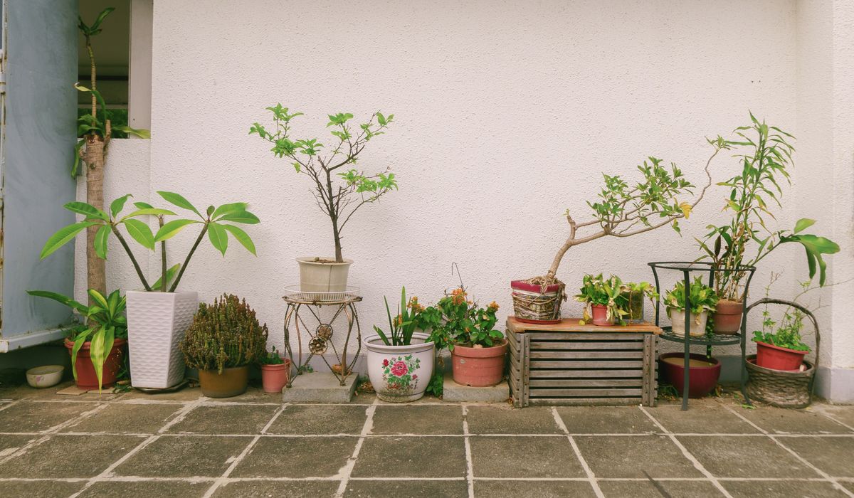 blog single post